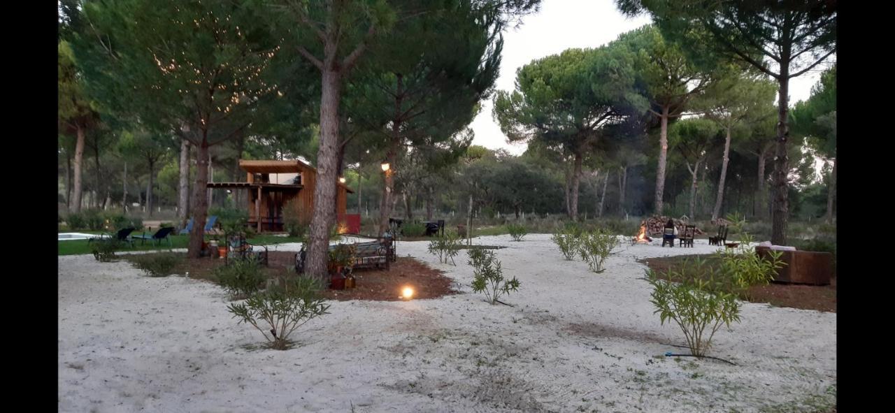 Ying Yang Monte Da Lua Villa Comporta Luaran gambar