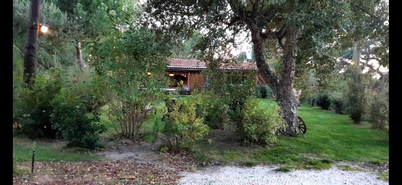 Ying Yang Monte Da Lua Villa Comporta Luaran gambar