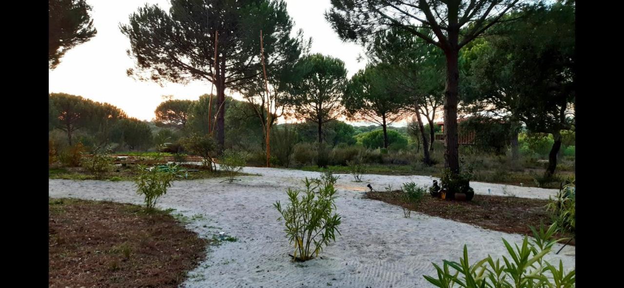 Ying Yang Monte Da Lua Villa Comporta Luaran gambar
