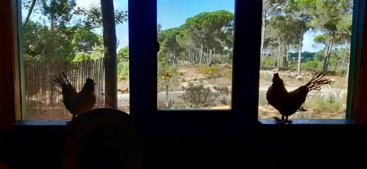 Ying Yang Monte Da Lua Villa Comporta Luaran gambar